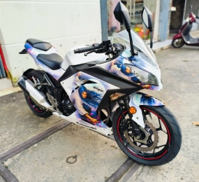 Kawasaki Ninja 300 2015 